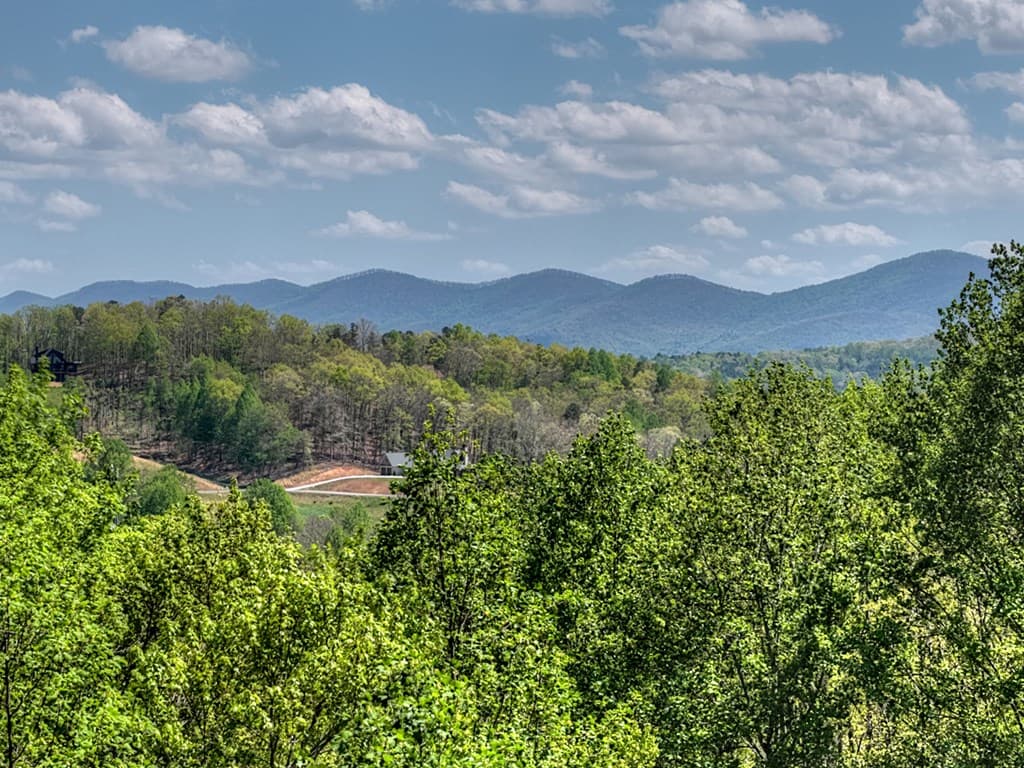 315 Blue Berry Ridge, Morganton GA 30560 - Photo