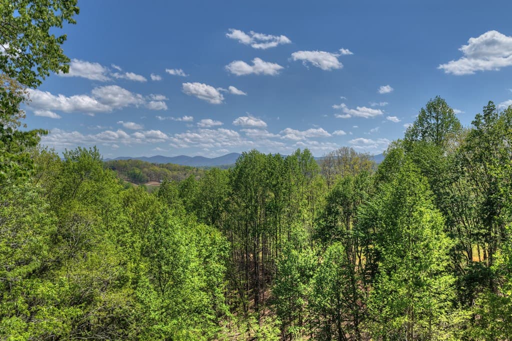 315 Blue Berry Ridge, Morganton GA 30560 - Photo