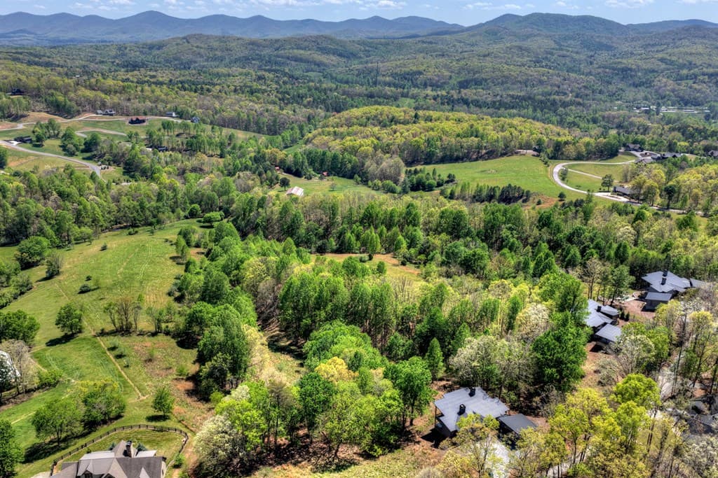 315 Blue Berry Ridge, Morganton GA 30560 - Photo