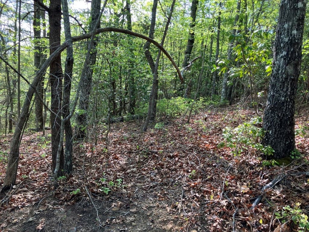 LT24 Mission Ridge Court, Hayesville NC 28904 - Photo