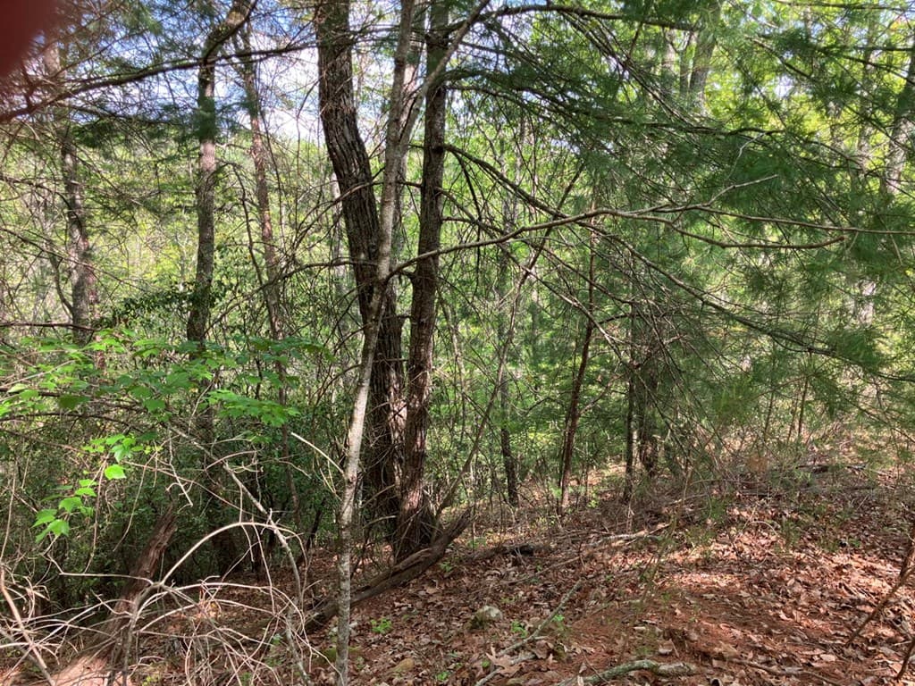 LT24 Mission Ridge Court, Hayesville NC 28904 - Photo
