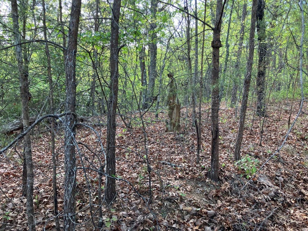 LT24 Mission Ridge Court, Hayesville NC 28904 - Photo