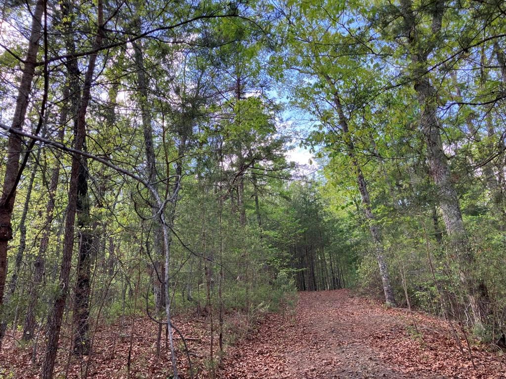 LT24 Mission Ridge Court, Hayesville NC 28904 - Primary photo