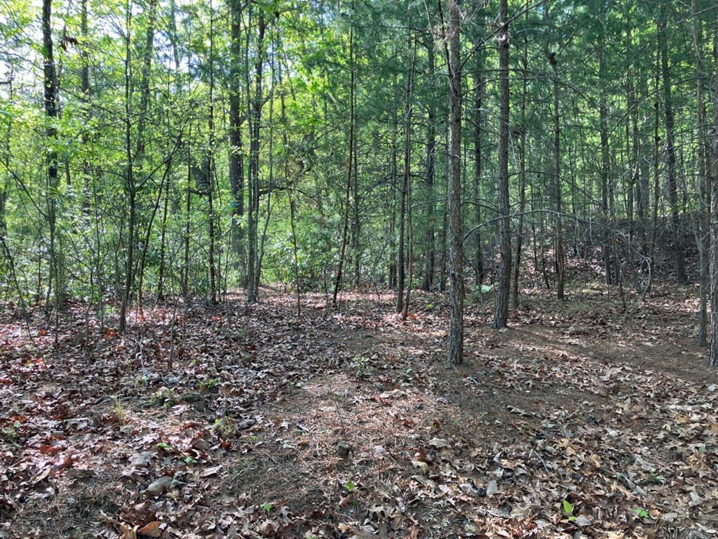 LT24 Mission Ridge Court, Hayesville NC 28904 - Photo