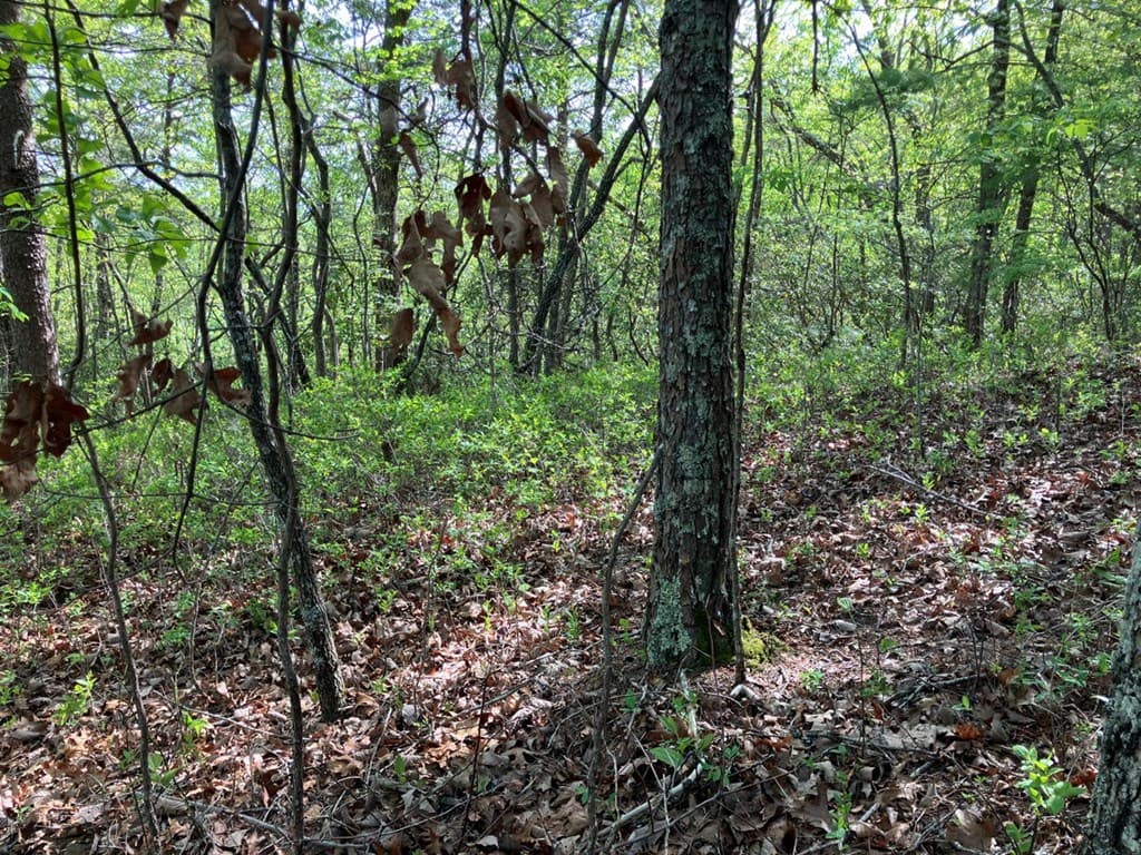 LT24 Mission Ridge Court, Hayesville NC 28904 - Photo