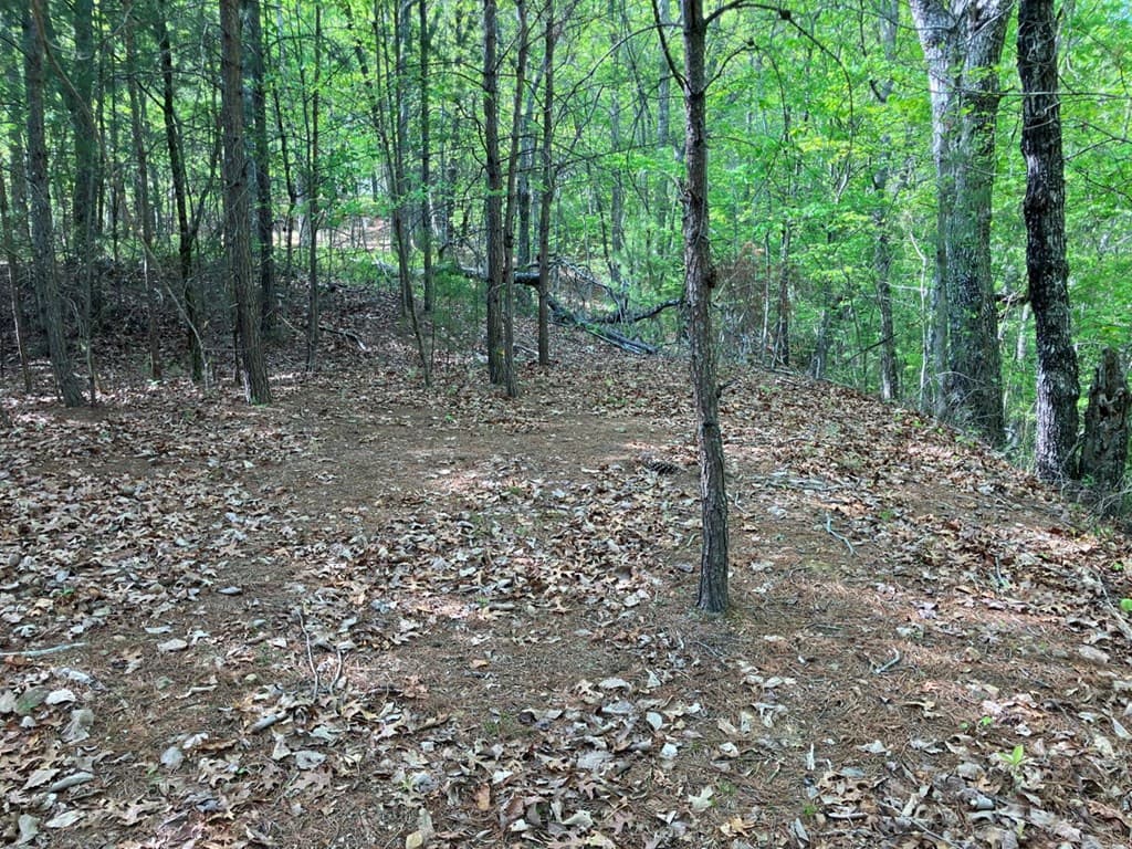 LT24 Mission Ridge Court, Hayesville NC 28904 - Photo
