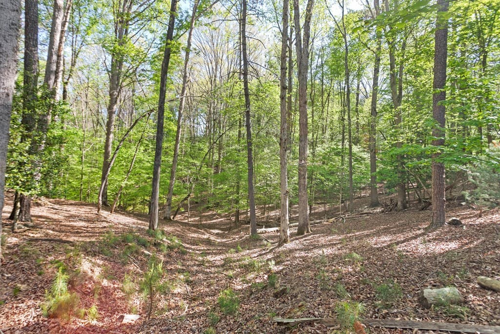 1466 Newport, Ellijay GA 30540 - Photo