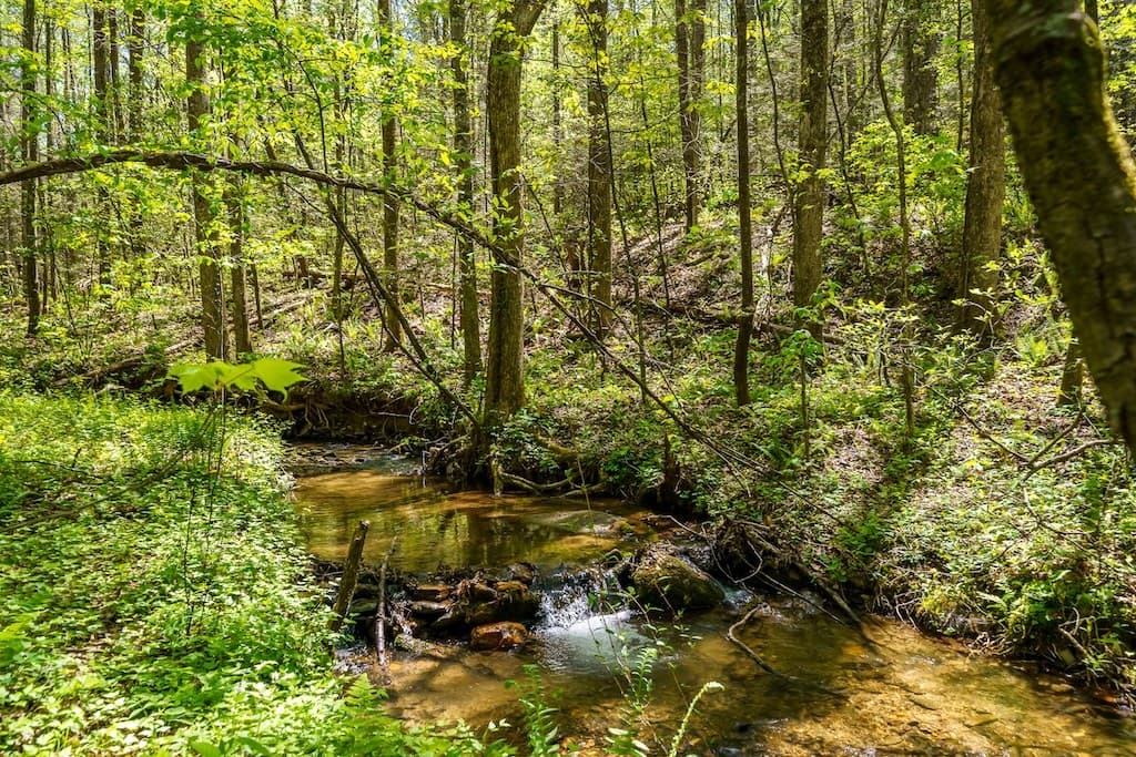 000 Burnt Mountain Road, Ellijay GA 30536 - Photo