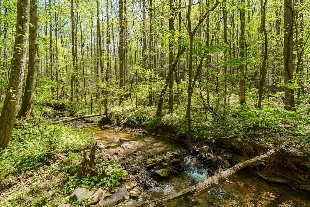 000 Burnt Mountain Road, Ellijay GA 30536 - Photo