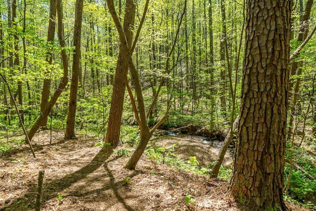 000 Burnt Mountain Road, Ellijay GA 30536 - Photo