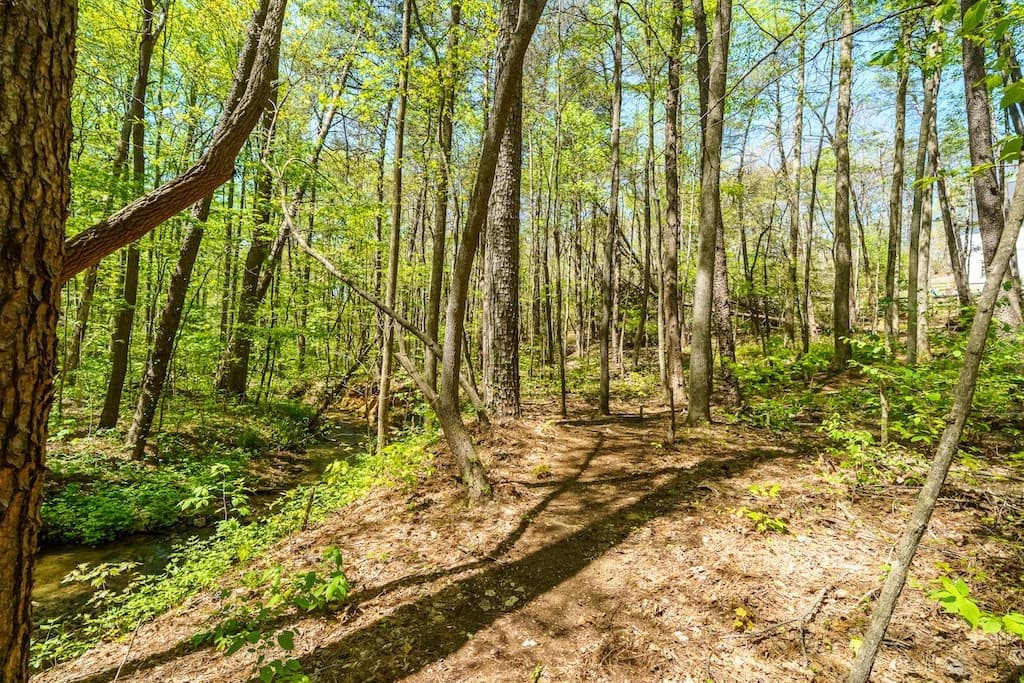 000 Burnt Mountain Road, Ellijay GA 30536 - Photo