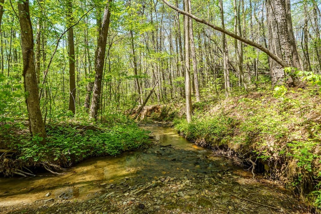 000 Burnt Mountain Road, Ellijay GA 30536 - Photo