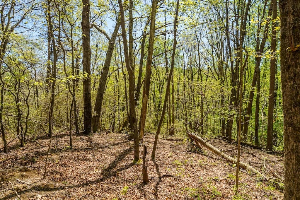 000 Burnt Mountain Road, Ellijay GA 30536 - Photo