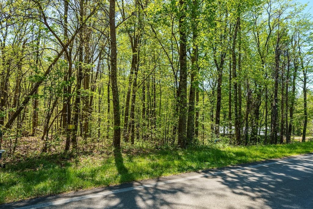 000 Burnt Mountain Road, Ellijay GA 30536 - Photo