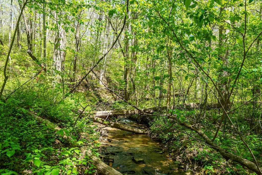 000 Burnt Mountain Road, Ellijay GA 30536 - Photo