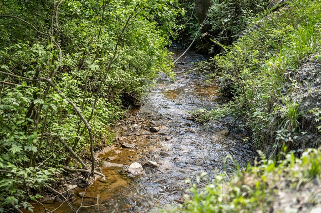 891 Bushy Head Road, Cherry Log GA 30522 - Photo