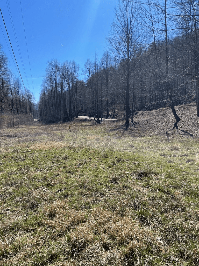891 Bushy Head Road, Cherry Log GA 30522 - Photo