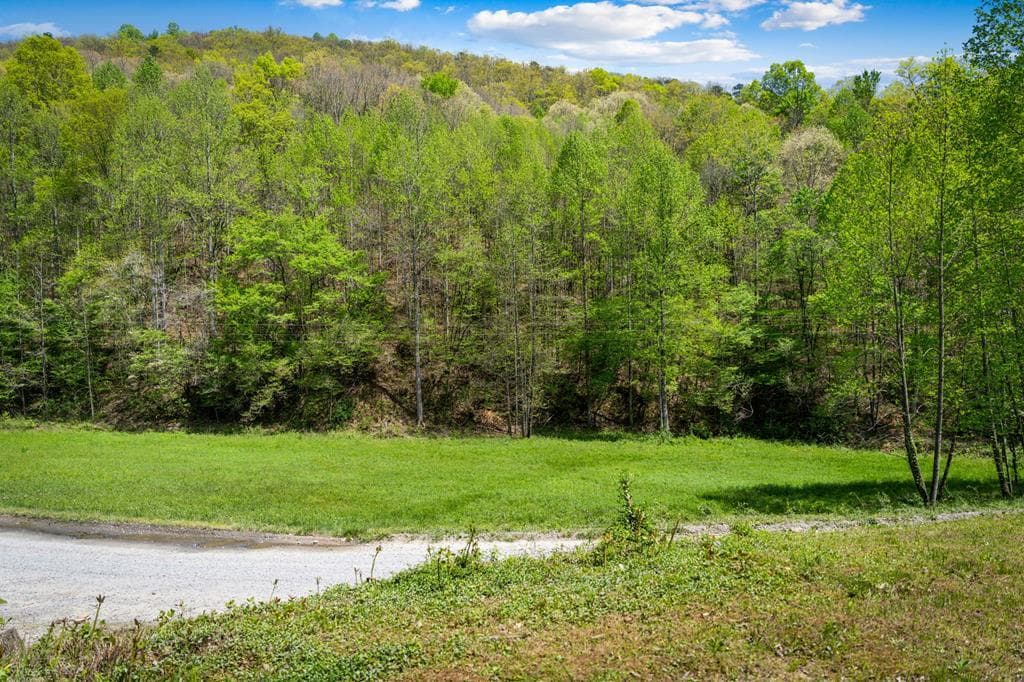 891 Bushy Head Road, Cherry Log GA 30522 - Photo