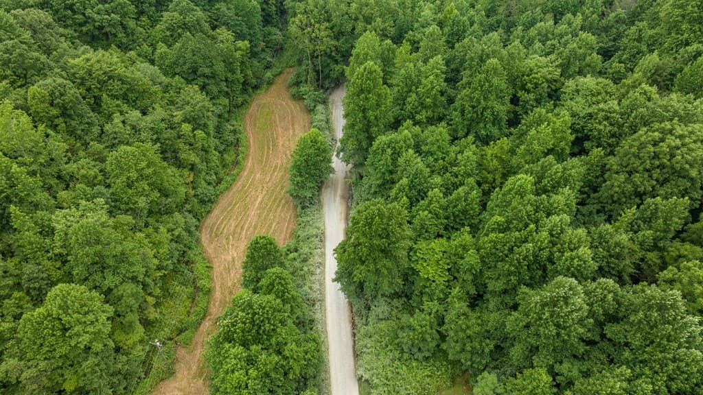 891 Bushy Head Road, Cherry Log GA 30522 - Photo