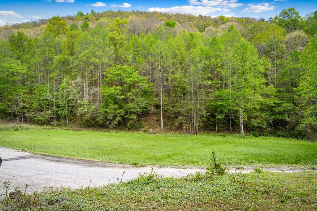 891 Bushy Head Road, Cherry Log GA 30522 - Photo