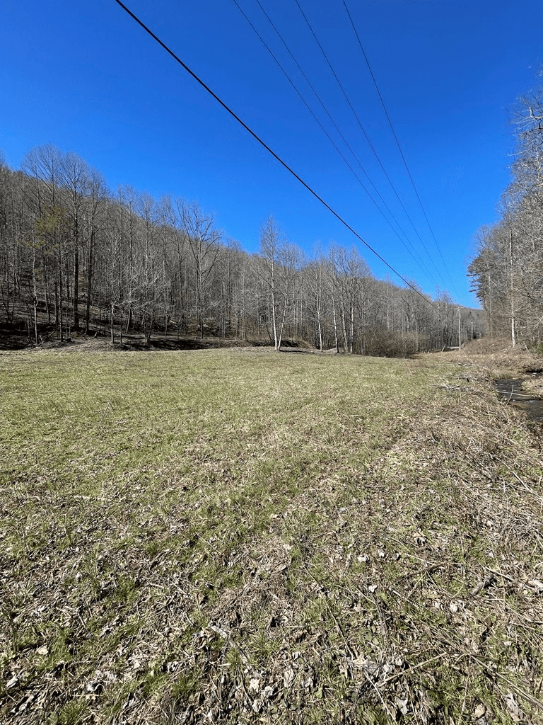 891 Bushy Head Road, Cherry Log GA 30522 - Photo
