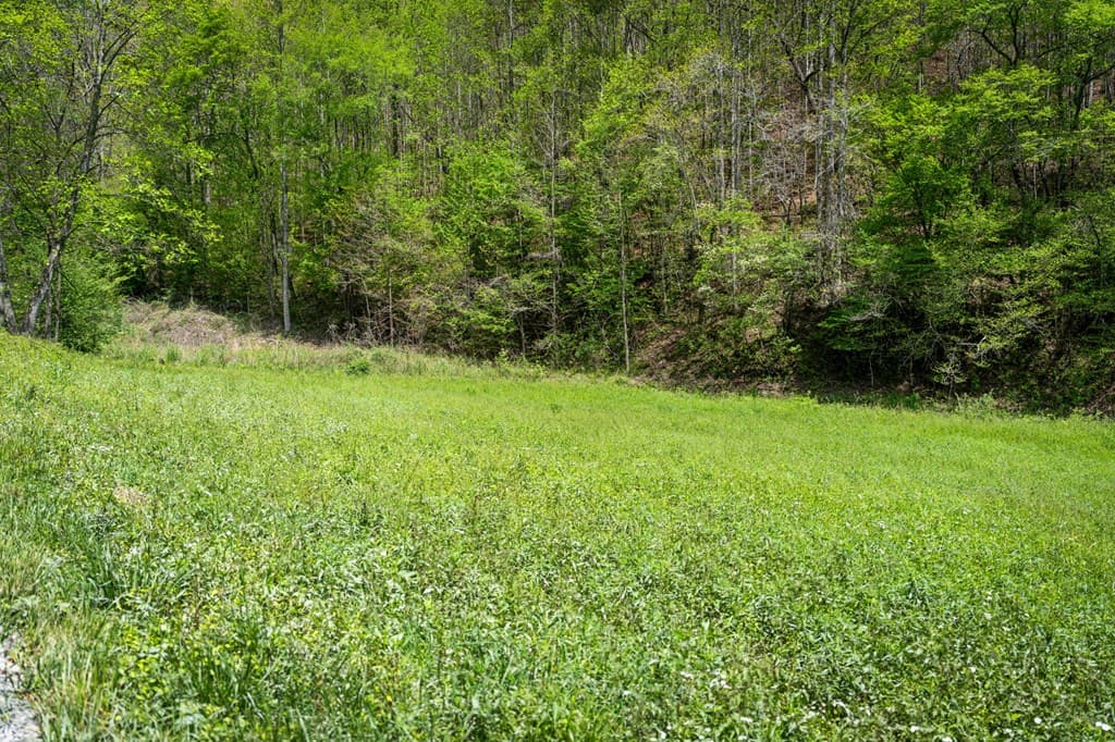 891 Bushy Head Road, Cherry Log GA 30522 - Photo