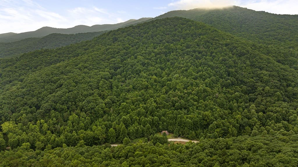 891 Bushy Head Road, Cherry Log GA 30522 - Photo