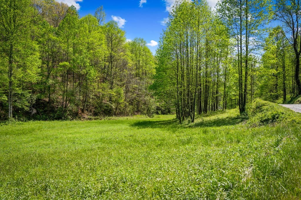 891 Bushy Head Road, Cherry Log GA 30522 - Photo