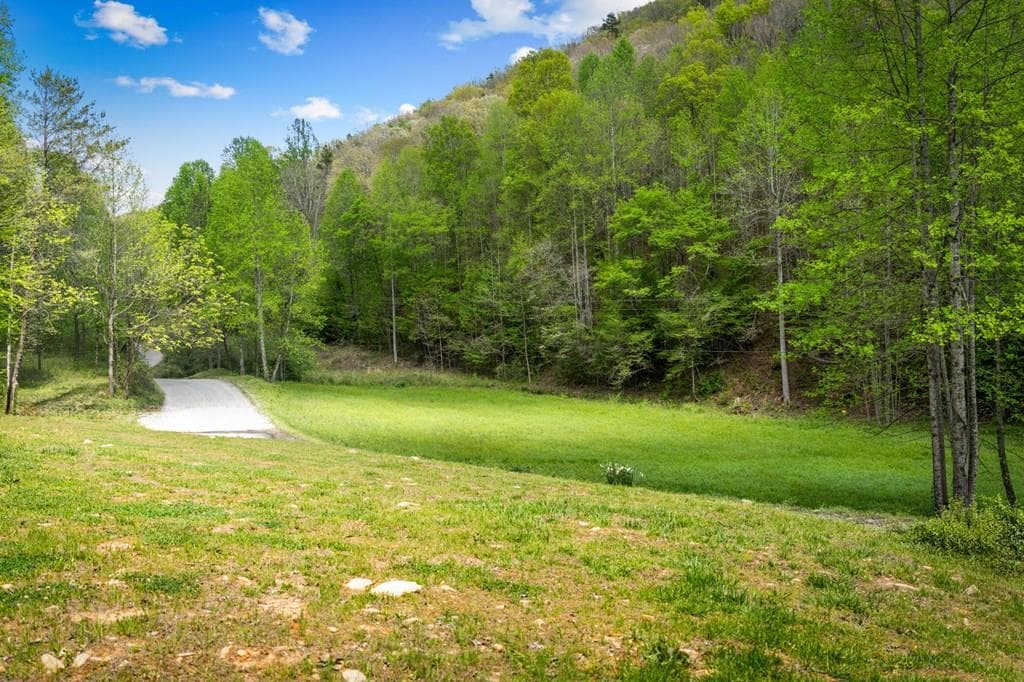 891 Bushy Head Road, Cherry Log GA 30522 - Primary photo