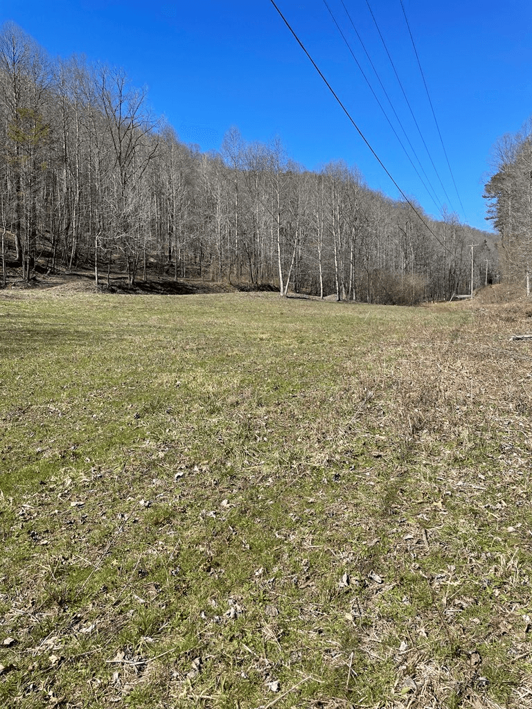 891 Bushy Head Road, Cherry Log GA 30522 - Photo