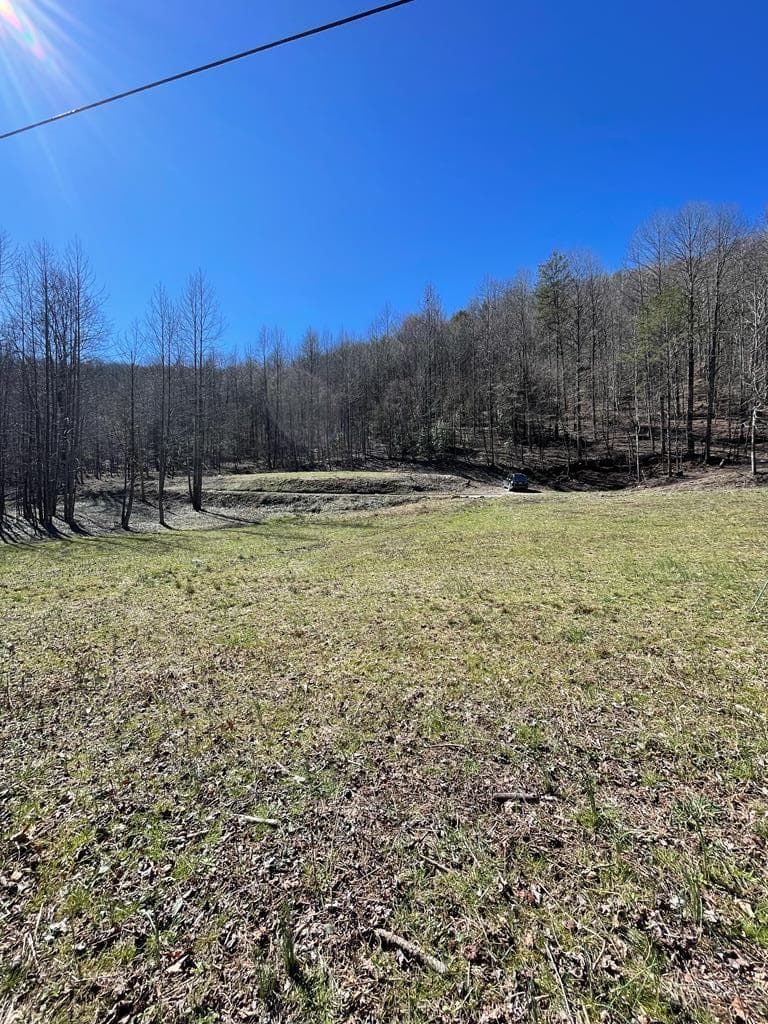 891 Bushy Head Road, Cherry Log GA 30522 - Photo