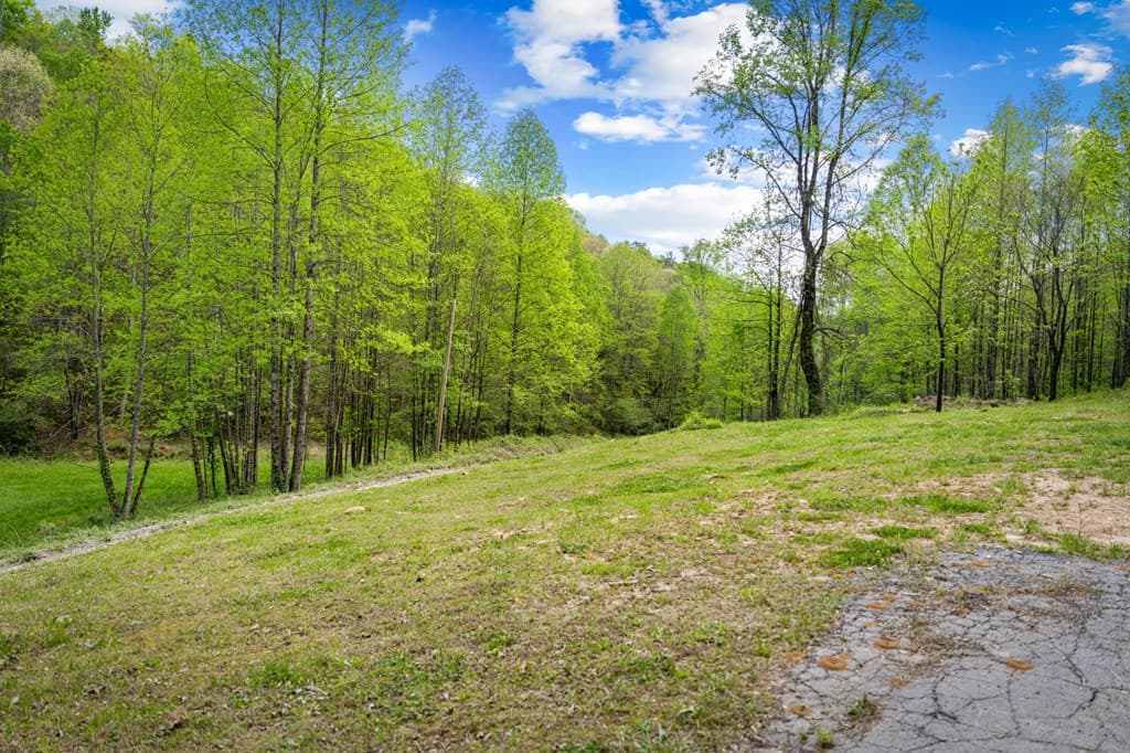 891 Bushy Head Road, Cherry Log GA 30522 - Photo