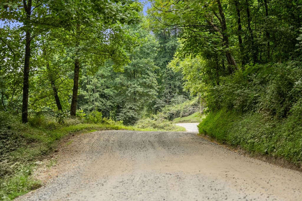 891 Bushy Head Road, Cherry Log GA 30522 - Photo