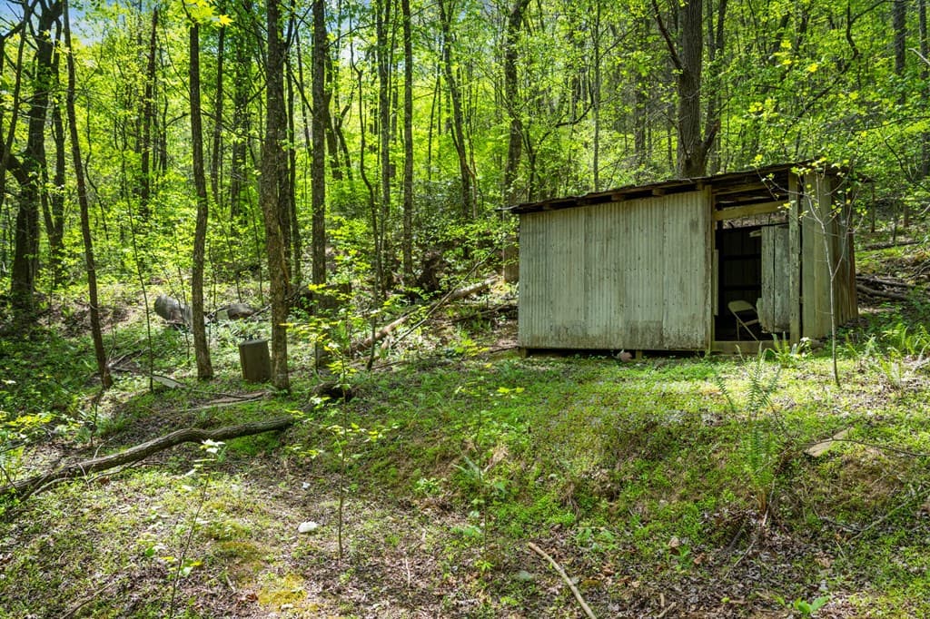 891 Bushy Head Road, Cherry Log GA 30522 - Photo