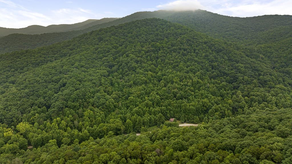 891 Bushy Head Road, Cherry Log GA 30522 - Photo