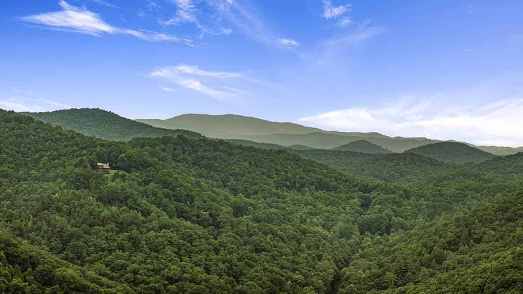 891 Bushy Head Road, Cherry Log GA 30522 - Photo