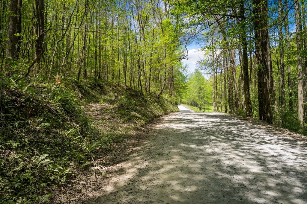 891 Bushy Head Road, Cherry Log GA 30522 - Photo