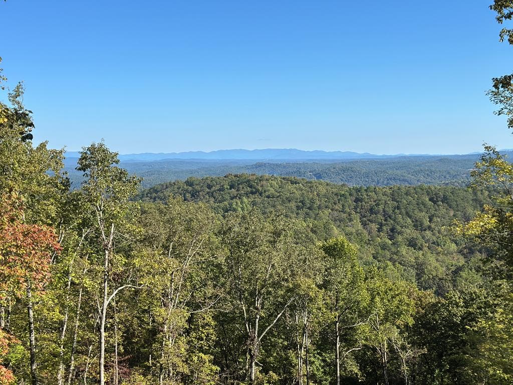 1176 NE Jewel Court, Ranger GA 30734 - Photo