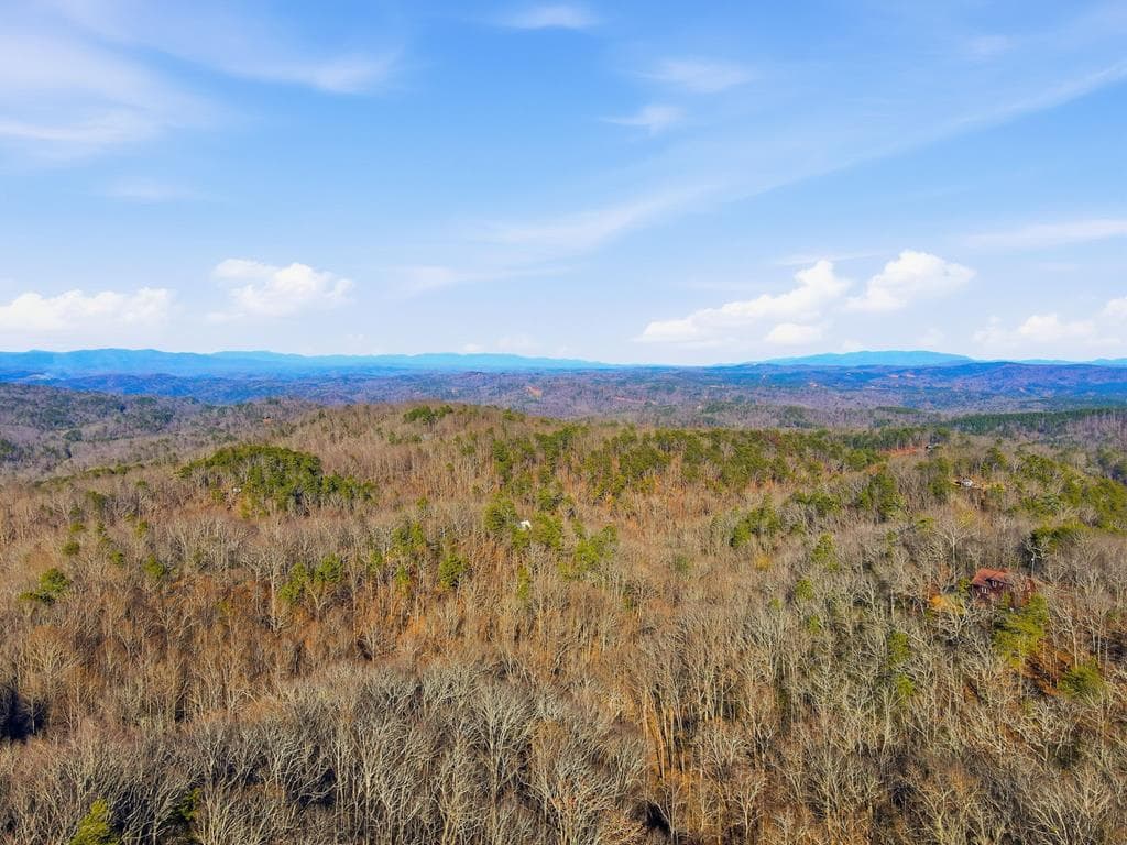 1176 NE Jewel Court, Ranger GA 30734 - Photo