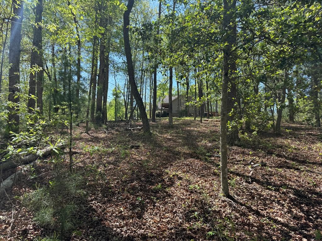 0 Windfield Circle, Blue Ridge GA 30513 - Photo