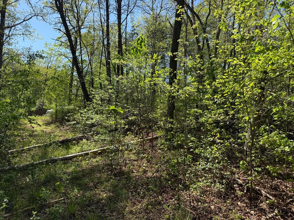 0 Windfield Circle, Blue Ridge GA 30513 - Photo
