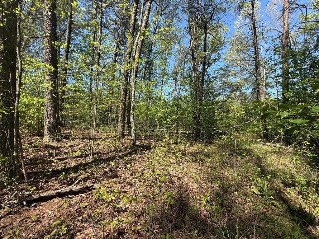 0 Windfield Circle, Blue Ridge GA 30513 - Photo
