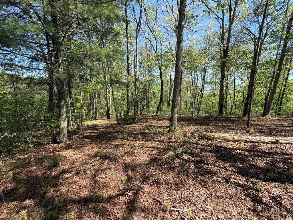 0 Windfield Circle, Blue Ridge GA 30513 - Photo