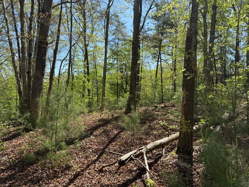 0 Windfield Circle, Blue Ridge GA 30513 - Photo