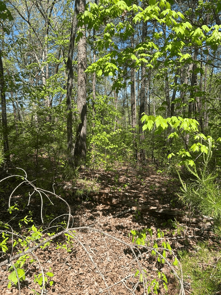 0 Windfield Circle, Blue Ridge GA 30513 - Photo