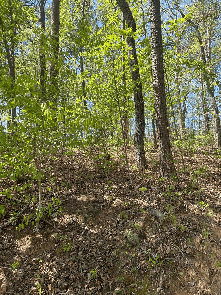 0 Windfield Circle, Blue Ridge GA 30513 - Photo
