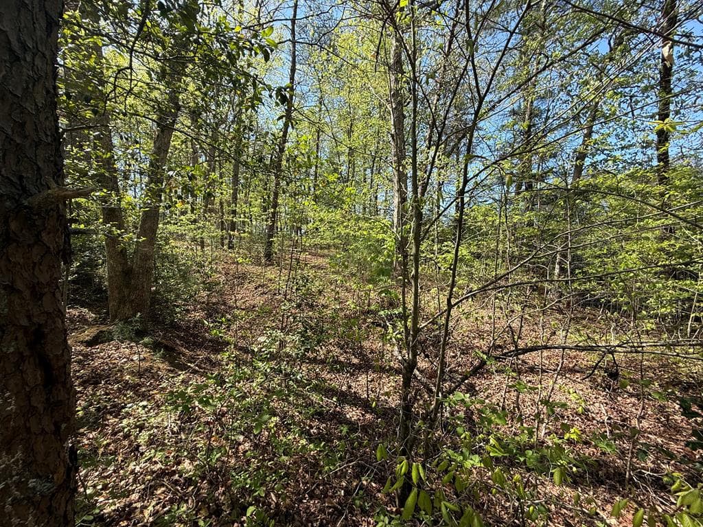 0 Windfield Circle, Blue Ridge GA 30513 - Photo