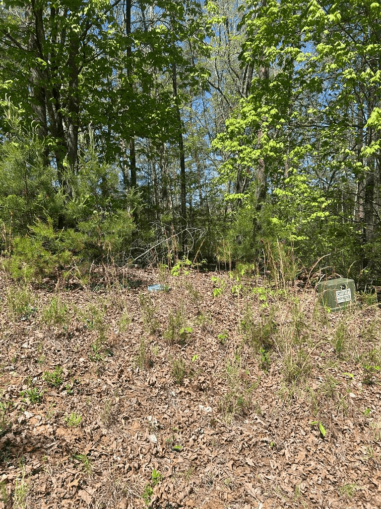 0 Windfield Circle, Blue Ridge GA 30513 - Photo