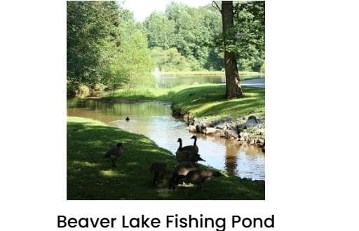 388 Palisade Drive, Ellijay GA 30540 - Photo