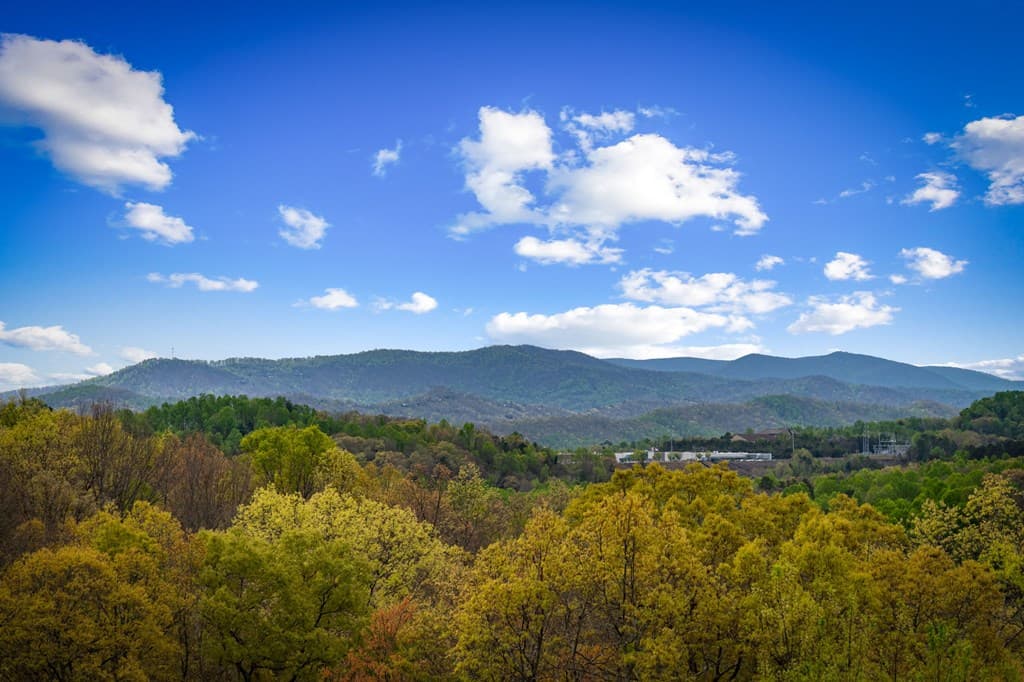 167 Cohutta Sunset Drive, Blue Ridge GA 30513 - Photo